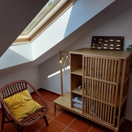 公寓 Mirador De San Vicente *